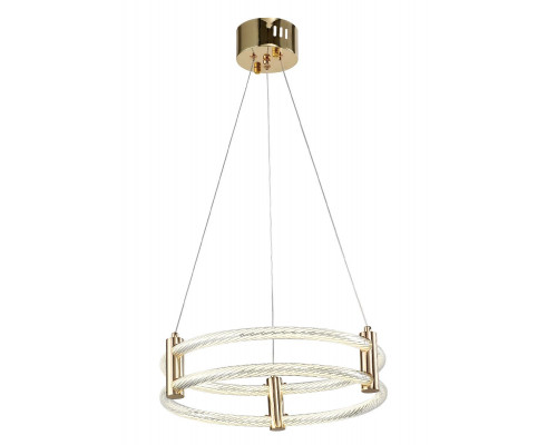 Основное фото Люстра подвесная Zortes Ringer ZRS.57792.76: Купить в Интернет магазин освещения GCSVET.RU