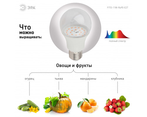 Дополнительное фото Светодиодная лампа для растений ЭРА E27 11W 2150K FITO-11W-Ra90-E27 Б0039172: Купить в Интернет магазин освещения GCSVET.RU