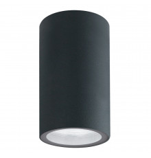 Светильник для улицы Arte Lamp Mistero A3302PF-1GY