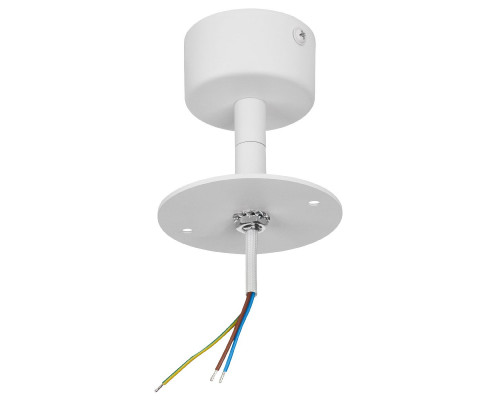 Основное фото Потолочное крепление Lightstar Rullo 590106: Купить в Интернет магазин освещения GCSVET.RU