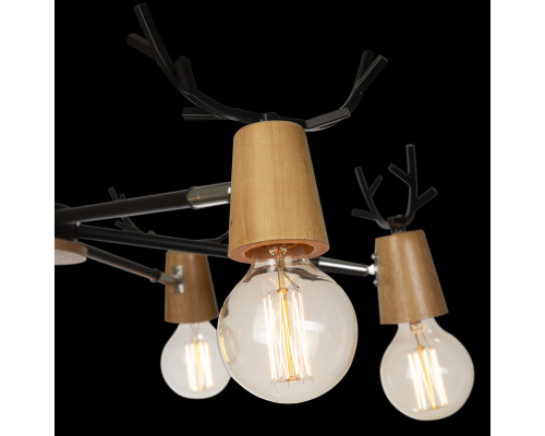 Дополнительное фото Люстра потолочная Loft IT Sven 10024/6 Black: Купить в Интернет магазин освещения GCSVET.RU