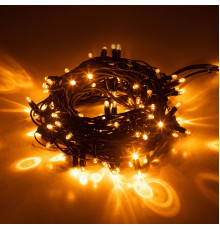 Светодиодная гирлянда Эра ERAPS-NZ2 Б0060544