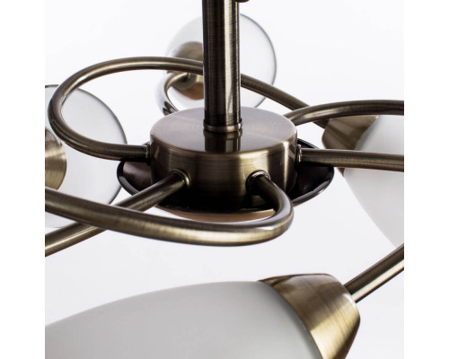 Дополнительное фото Люстра потолочная Arte Lamp 3 A6059PL-6AB: Купить в Интернет магазин освещения GCSVET.RU