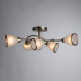 Дополнительное фото Люстра потолочная Arte Lamp 3 A6059PL-6AB: Купить в Интернет магазин освещения GCSVET.RU