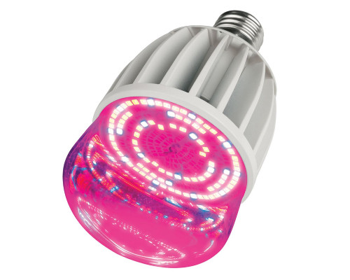 Основное фото Светодиодная лампочка Uniel LED-M80 LED-M80-20W/SP/E27/CL ALS55WH картон: Купить в Интернет магазин освещения GCSVET.RU