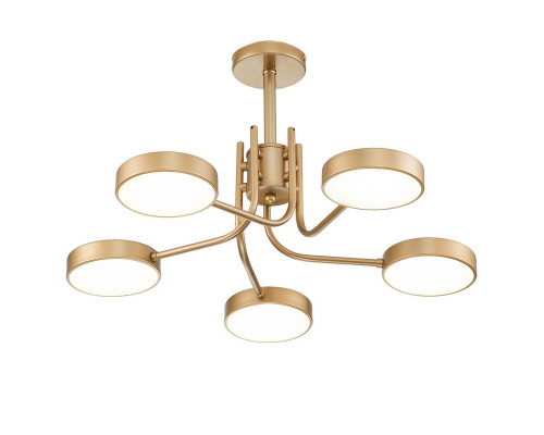 Основное фото Люстра потолочная Escada Skylar 10258/5LED: Купить в Интернет магазин освещения GCSVET.RU