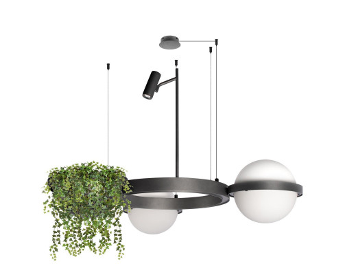 Основное фото Люстра подвесная Loft IT Jardin 10121/2 Dark grey: Купить в Интернет магазин освещения GCSVET.RU