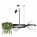 Основное фото Люстра подвесная Loft IT Jardin 10121/2 Dark grey: Купить в Интернет магазин освещения GCSVET.RU