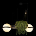 Дополнительное фото Люстра подвесная Loft IT Jardin 10121/2 Dark grey: Купить в Интернет магазин освещения GCSVET.RU