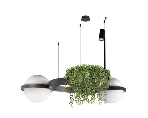 Дополнительное фото Люстра подвесная Loft IT Jardin 10121/2 Dark grey: Купить в Интернет магазин освещения GCSVET.RU