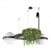 Дополнительное фото Люстра подвесная Loft IT Jardin 10121/2 Dark grey: Купить в Интернет магазин освещения GCSVET.RU