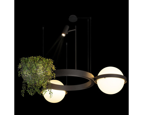 Дополнительное фото Люстра подвесная Loft IT Jardin 10121/2 Dark grey: Купить в Интернет магазин освещения GCSVET.RU