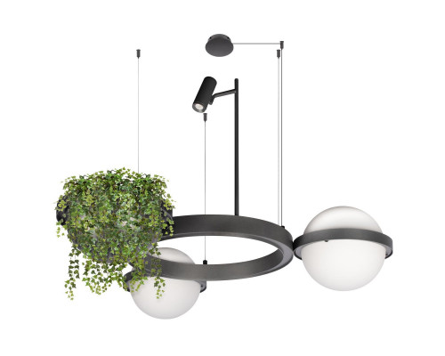 Дополнительное фото Люстра подвесная Loft IT Jardin 10121/2 Dark grey: Купить в Интернет магазин освещения GCSVET.RU