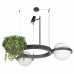 Дополнительное фото Люстра подвесная Loft IT Jardin 10121/2 Dark grey: Купить в Интернет магазин освещения GCSVET.RU