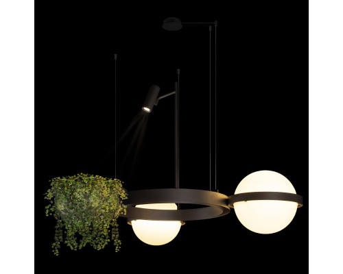 Дополнительное фото Люстра подвесная Loft IT Jardin 10121/2 Dark grey: Купить в Интернет магазин освещения GCSVET.RU