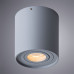 Дополнительное фото Светильник потолочный Arte Lamp Falcon A5645PL-1GY: Купить в Интернет магазин освещения GCSVET.RU
