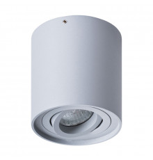 Светильник потолочный Arte Lamp Falcon A5645PL-1GY