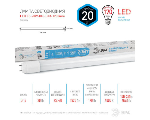 Основное фото Светодиодная лампочка Эра LED T8-20W-840-G13-1200mm Б0062407: Купить в Интернет магазин освещения GCSVET.RU
