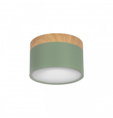 Светильник накладной Loft IT Grape 10162 Green