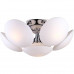 Основное фото Люстра потолочная Arte Lamp Soffione A2550PL-6CC: Купить в Интернет магазин освещения GCSVET.RU