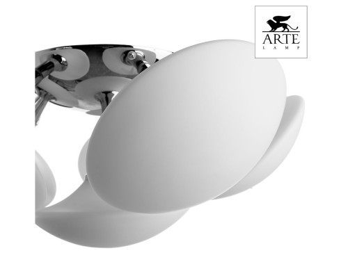 Дополнительное фото Люстра потолочная Arte Lamp Soffione A2550PL-6CC: Купить в Интернет магазин освещения GCSVET.RU