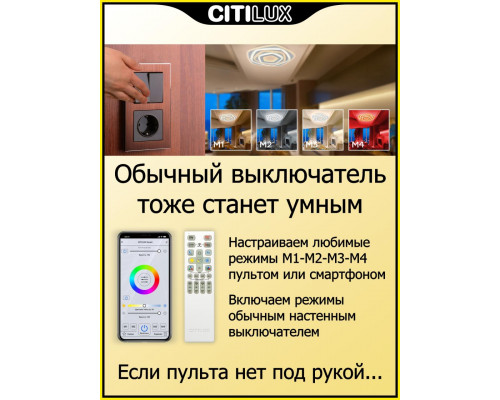 Дополнительное фото Светильник потолочный Citilux Триест CL737A44E: Купить в Интернет магазин освещения GCSVET.RU
