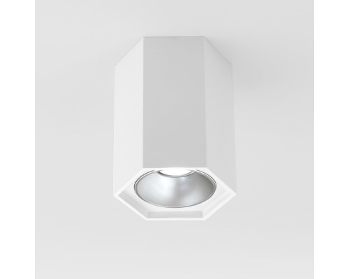 Основное фото Накладной светодиодный светильник Elektrostandard 25036/LED 4690389176487: Купить в Интернет магазин освещения GCSVET.RU