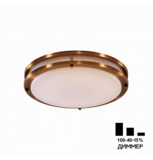 Светильник потолочный Citilux Бостон CL709323N