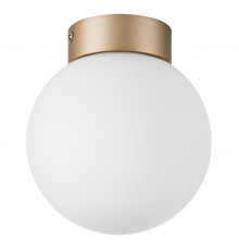 Светильник потолочный Lightstar Globo 812013