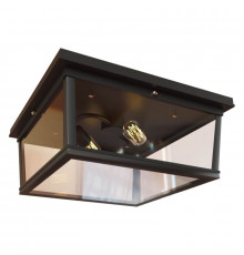 Светильник потолочный LOFT IT Modern filament Loft3110-2C