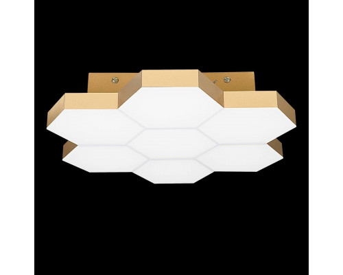 Дополнительное фото Светильник потолочный LED Lightstar Favo 750071: Купить в Интернет магазин освещения GCSVET.RU