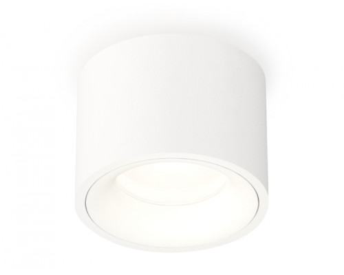 Основное фото Светильник потолочный Ambrella Light Techno Spot XS7510020 (C7510, N7010): Купить в Интернет магазин освещения GCSVET.RU