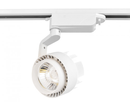 Основное фото Светильник трековый (однофазный) Ambrella Light Track System GL6103: Купить в Интернет магазин освещения GCSVET.RU