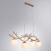 Дополнительное фото Люстра подвесная Arte Lamp Eltanin A3422SP-4GO: Купить в Интернет магазин освещения GCSVET.RU