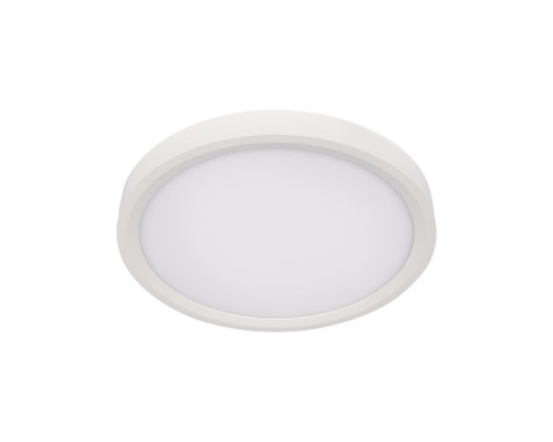 Основное фото Светильник потолочный Loft IT Extraslim 10227/24 White: Купить в Интернет магазин освещения GCSVET.RU