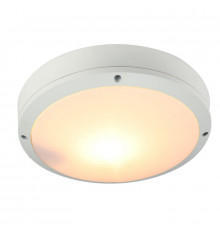 Светильник уличный Arte Lamp City A8154PF-2WH