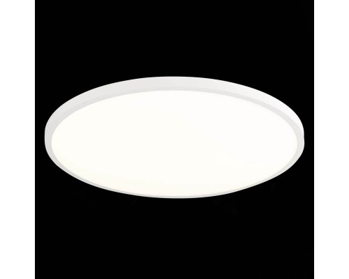 Дополнительное фото Настенно-Светильник потолочный ST Luce ST601.542.48: Купить в Интернет магазин освещения GCSVET.RU