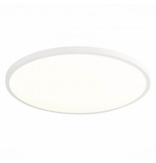 Настенно-Светильник потолочный ST Luce ST601.542.48