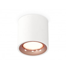 Светильник потолочный Ambrella Light Techno Spot XS7531025 (C7531, N7015)