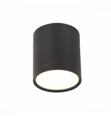 Светильник потолочный ST Luce Rene ST113.442.05