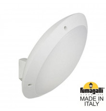 Светильник настенный для улицы Fumagalli 1R3.602.000.WYE27