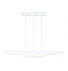 Светильник подвесной Ambrella Light Techno spot TN5155
