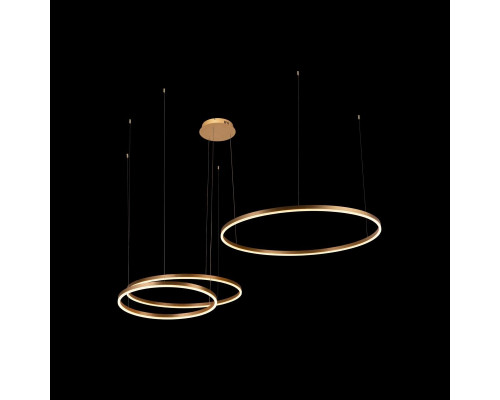 Дополнительное фото Светильник подвесной LED Loft IT Ring 10017/3S: Купить в Интернет магазин освещения GCSVET.RU