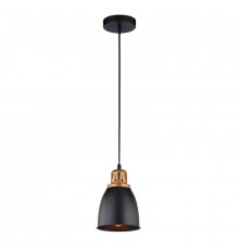 Светильник подвесной Arte Lamp Eurica A4248SP-1BK