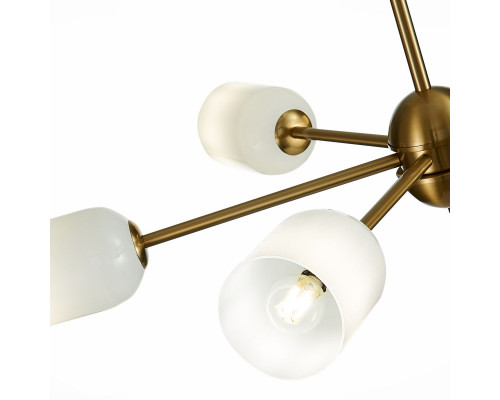 Дополнительное фото Люстра потолочная ST Luce Treviso SL1180.202.06: Купить в Интернет магазин освещения GCSVET.RU
