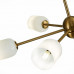 Дополнительное фото Люстра потолочная ST Luce Treviso SL1180.202.06: Купить в Интернет магазин освещения GCSVET.RU