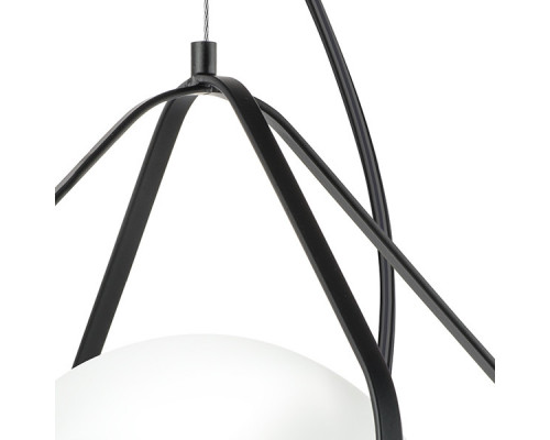 Дополнительное фото Светильник подвесной Lightstar 803317: Купить в Интернет магазин освещения GCSVET.RU