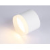 Дополнительное фото Светильник накладной Ambrella Light Acrylic Frost TN5365: Купить в Интернет магазин освещения GCSVET.RU