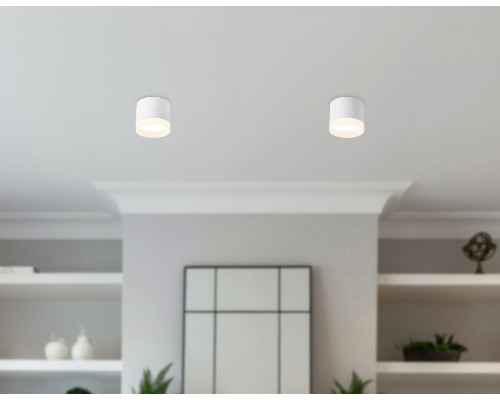 Дополнительное фото Светильник накладной Ambrella Light Acrylic Frost TN5365: Купить в Интернет магазин освещения GCSVET.RU