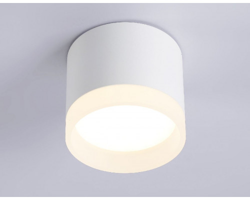 Дополнительное фото Светильник накладной Ambrella Light Acrylic Frost TN5365: Купить в Интернет магазин освещения GCSVET.RU